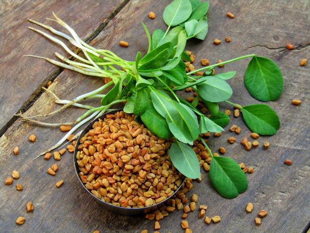 The Marvelous Benefits of Fenugreek: Nature’s Health Elixir