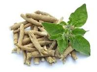 10 Benefits of Ashwagandha
